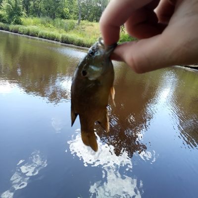 Fishing in Heyburn Lake Area