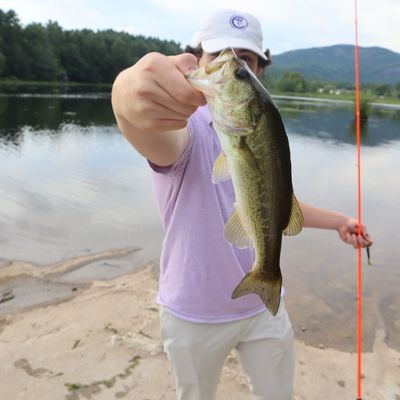 ᐅ Ravenel Lake fishing reports🎣• Brevard, NC (United States) fishing