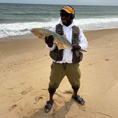 ᐅ Mud Cove fishing reports🎣• Westerly, RI (United States) fishing