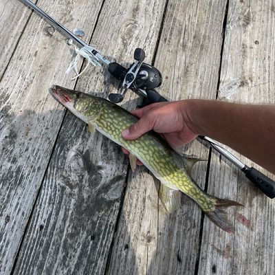 ᐅ Lake Harmony fishing reports🎣• Chestnuthill, PA (United States) fishing