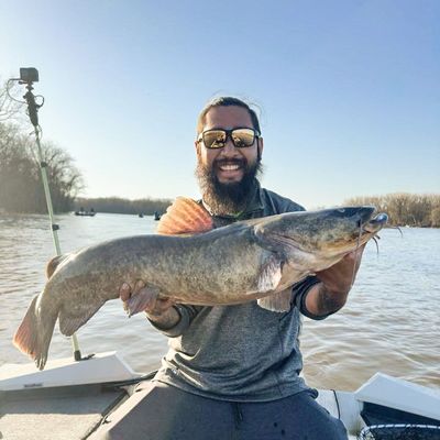 ᐅ Little River fishing reports🎣• Red Wing, MN (United States