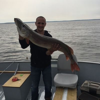 ᐅ Ralph Bice Lake fishing reports🎣• Ontario, Canada fishing