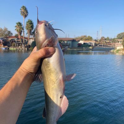 TOP 10 BEST Fishing Spots in Alhambra, CA - Updated 2024 - Yelp