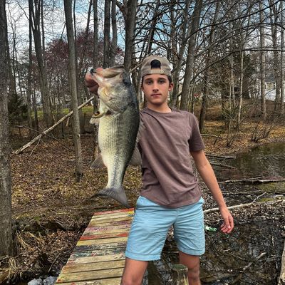 ᐅ Lake Montclair fishing reports🎣• Montclair, VA (United States