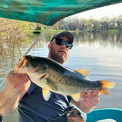 Fishing reports, best baits and forecast for fishing in Tampier Lake