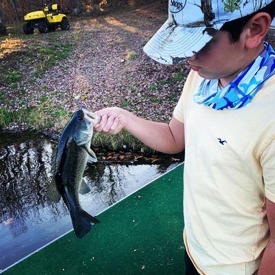 ᐅ Bailey Brook fishing reports🎣• Leominster, MA (United States) fishing