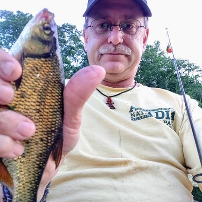 ᐅ Great Meadow Brook Pond fishing reports🎣• Griswold, CT (United