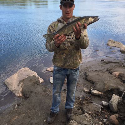 ᐅ Monnery River fishing reports🎣• Saskatchewan, Canada fishing