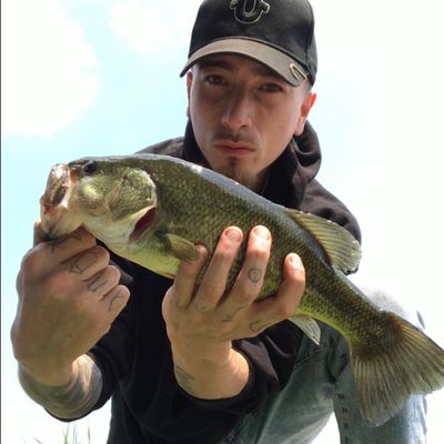 ᐅ Reeck Drain fishing reports🎣• Allen Park, MI (United States