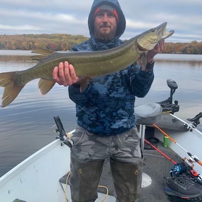 Recently caught Muskellunge