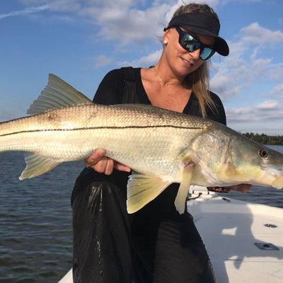 The most popular recent Common snook catch on Fishbrain