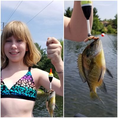ᐅ Lake Lime fishing reports🎣• Plover, WI (United States) fishing