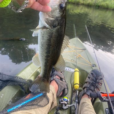 ᐅ Lake Brantley fishing reports🎣• Monroe, GA (United States) fishing