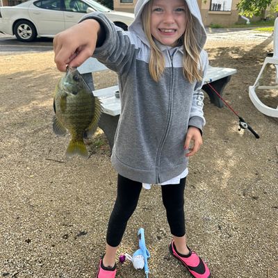 ᐅ Wautoma Millpond 23 fishing reports🎣• Plover, WI (United States) fishing
