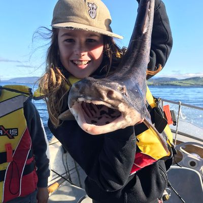 ᐅ Eggs and Bacon Bay fishing reports🎣• Tasmania, Australia fishing