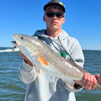 Myrtle Beach Redfish / Red Drum Fishing - Spots & Recommended Bait