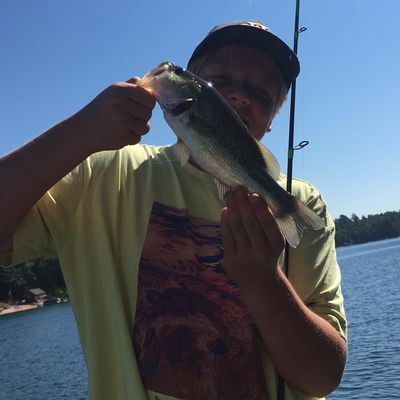 ᐅ Pearl Lake fishing reports🎣• Ontario, Canada fishing