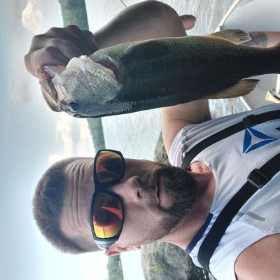 ᐅ Lower Beech Pond fishing reports🎣• Laconia, NH (United States) fishing