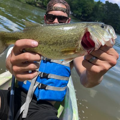 ᐅ Bates Lake fishing reports🎣• Tupelo, AL (United States) fishing
