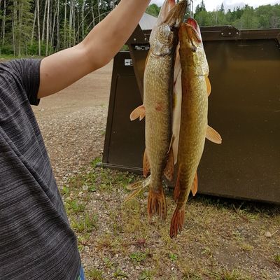 ᐅ Boire Lake fishing reports🎣• Saskatchewan, Canada fishing