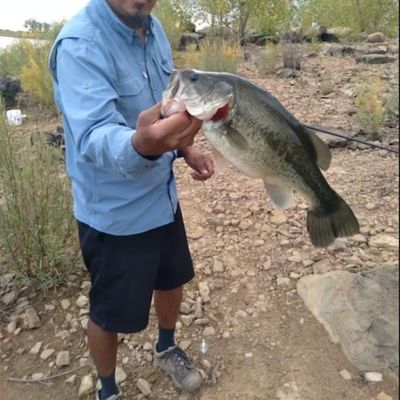 ᐅ Adams Reservoir fishing reports🎣• Durango, CO (United States