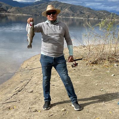 26+ Fishing Report For Silverwood Lake