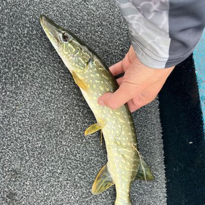 Powers Lake, Wisconsin  Lake, Fishing & Travel Info