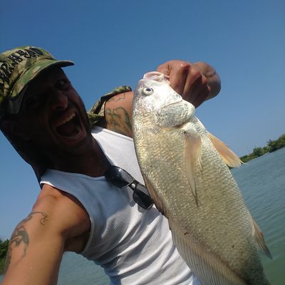 ᐅ Eight Mile Pond fishing reports🎣• Lewiston, Ontario (Canada) fishing