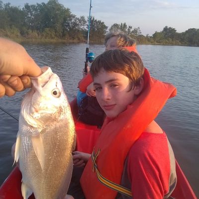 ᐅ Lake Sulphur Springs fishing reports🎣• Sulphur Springs, TX (United  States) fishing