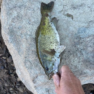 ᐅ Little Grass Valley Reservoir fishing reports🎣• Magalia, CA