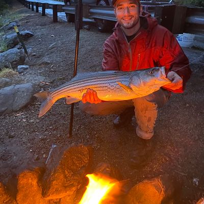 ᐅ Winchester Bay fishing reports🎣• Coos Bay, OR (United States) fishing