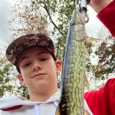 ᐅ Presidential Lakes fishing reports🎣• Pemberton, NJ (United States)  fishing