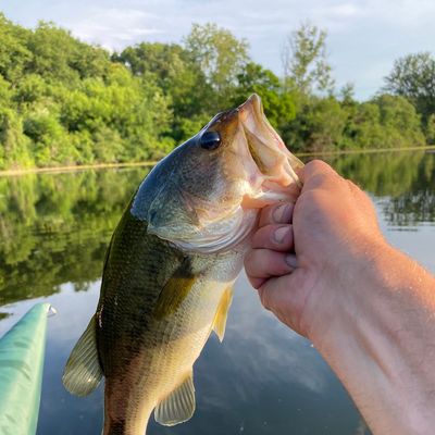 ᐅ Spring Valley Lake fishing reports🎣• Kalamazoo, MI (United