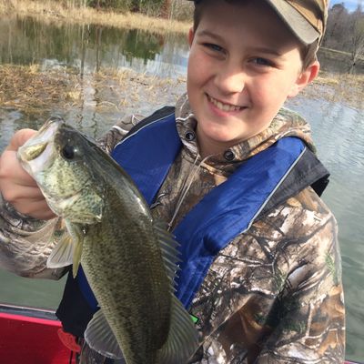 ᐅ Sam Rayburn Reservoir fishing reports🎣• Lufkin, TX (United States)  fishing