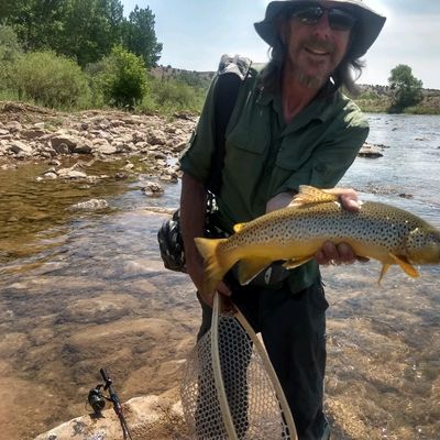 ᐅ Matt Warner Reservoir fishing reports🎣• Vernal, UT (United States)  fishing