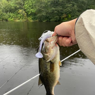 ᐅ Oldham Pond fishing reports🎣• Pembroke, MA (United States) fishing
