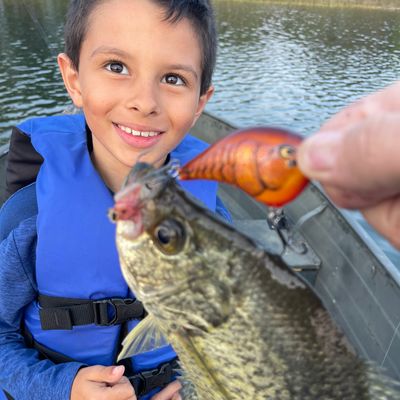 ᐅ Newton Lake fishing reports🎣• Marinette, WI (United States) fishing