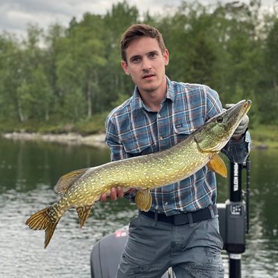 ᐅ Sädvajaure fishing reports🎣• Norrbotten, Sweden fishing