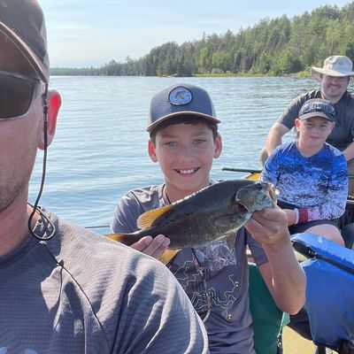 ᐅ Trident Lake fishing reports🎣• MN, United States fishing