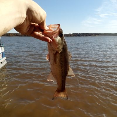 Fishing in Heyburn Lake Area