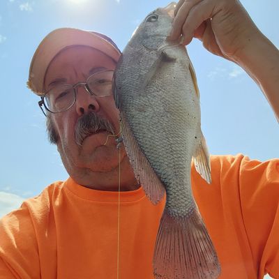 ᐅ Lake Hanska fishing reports🎣• New Ulm, MN (United States) fishing