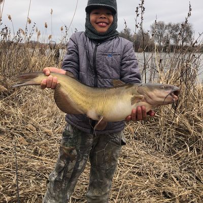 ᐅ Sand Hollow Creek fishing reports🎣• Ontario, ID (United States