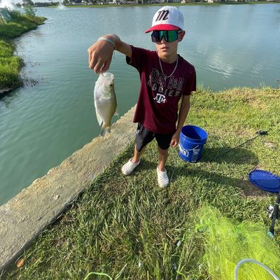 ᐅ Tankersley Lake fishing reports🎣• Sienna Plantation, TX