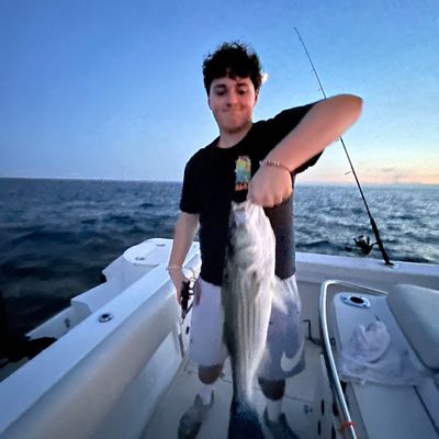 ᐅ Pawcatuck River fishing reports🎣• Stonington, RI (United States) fishing