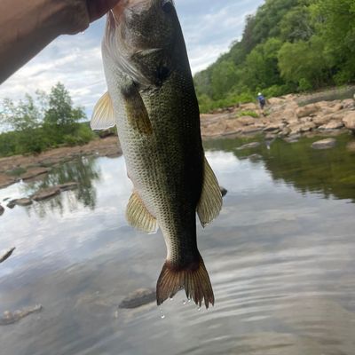 ᐅ Fishing Creek Watershed Dam Number One fishing reports🎣• Lake