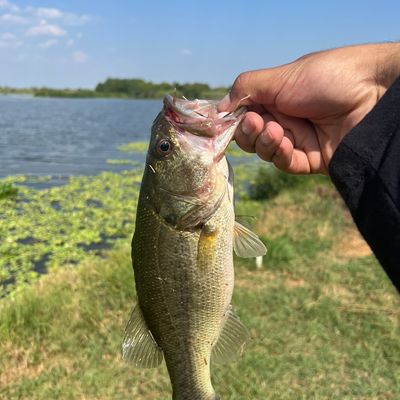 Hillebrandt Bayou fishing reports Beaumont TX United