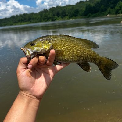 Photos at Middletown Reservoir - Middletown, PA