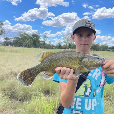 Inverell 2360, NSW, Fishing