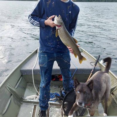 ᐅ Lac Menon fishing reports🎣• Quebec, Canada fishing