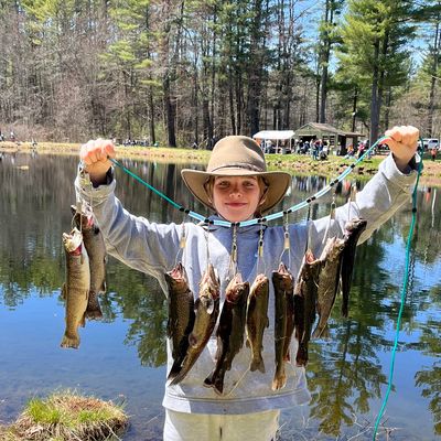 ᐅ Bailey Brook fishing reports🎣• Leominster, MA (United States) fishing